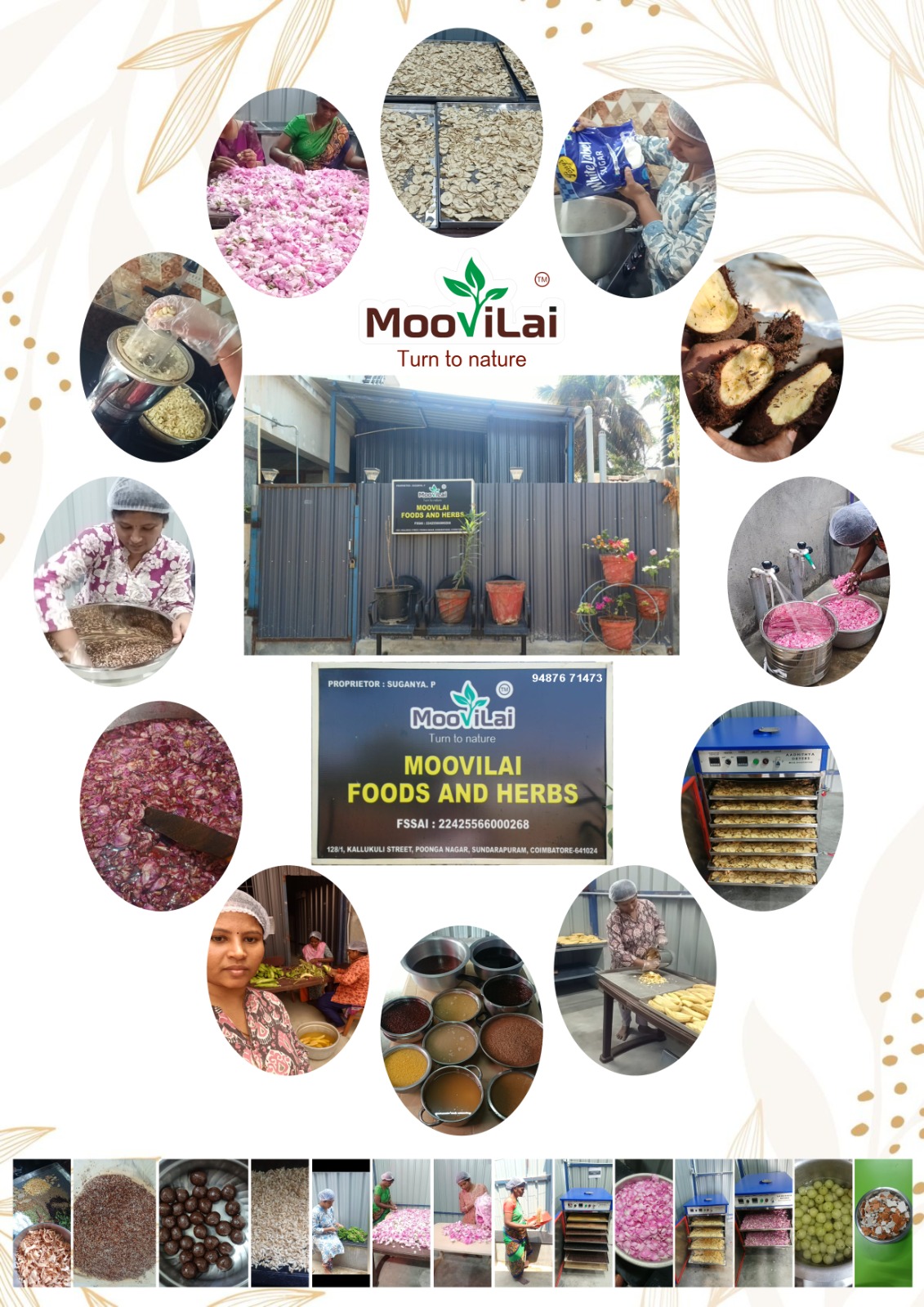 Nature-Powered Juices<br>and Health Powders